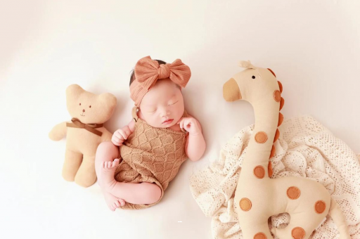 西安宝宝虾的做法