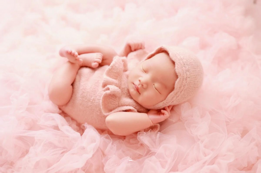 西安8个月宝宝辅食